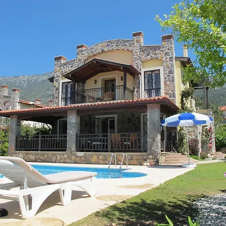 فيلة Xanthos 37